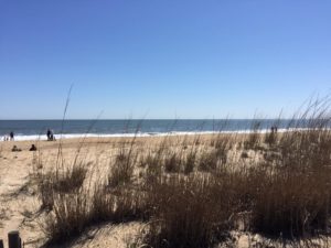 Rehoboth1