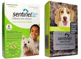 SentinelProductImage2