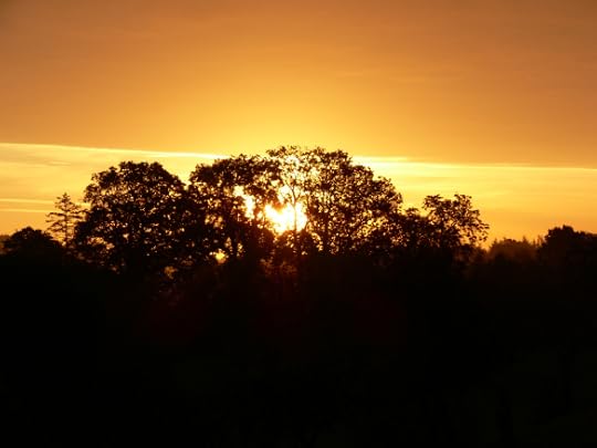 pitlands holiday 103