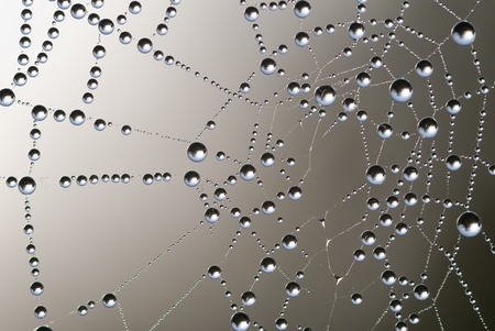 Web link building