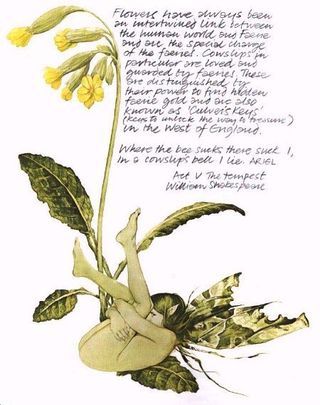 Cowslip faery by Brian Froud