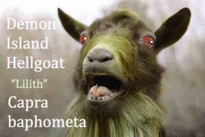 Hellgoat
