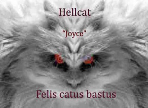 Joyce