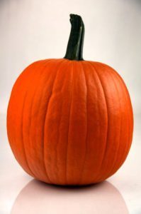 A freh pumpkin ready for carving for Halloween or celebrating Thanksgiving