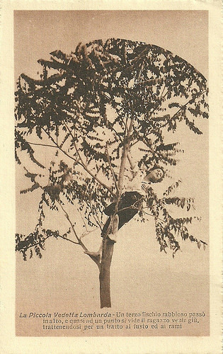 La piccola vedetta lombarda