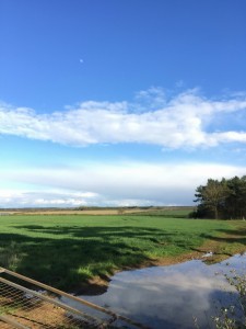 IMG_7524