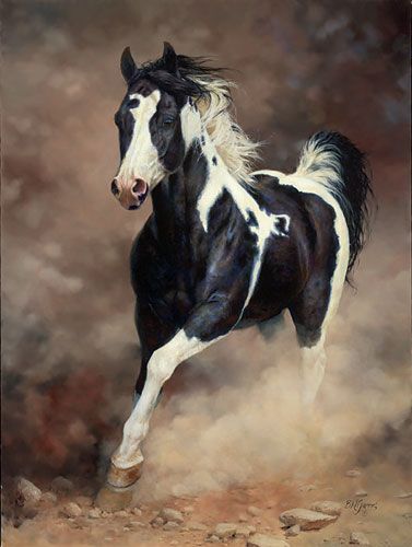  photo cfcbcd7be4572560fa9db8576652e519_zpsihbh8kh3.jpg