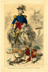equestrial jackson