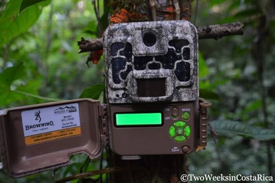 Spying on the Rainforest: Setting up Trail Cameras in Costa Rica | Two Weeks in Costa Rica