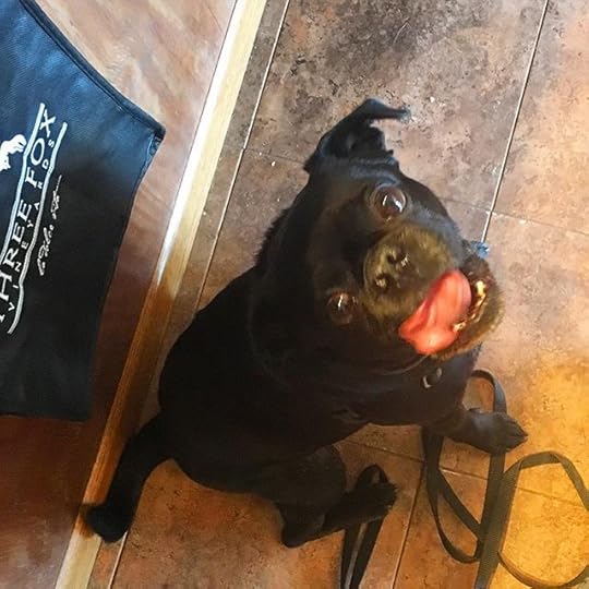 12918603_1597849327198503_496964484_n