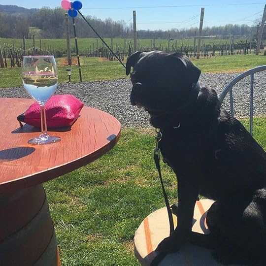 12519564_1712602179029320_1437436830_n