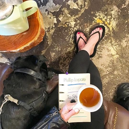 12976246_1087915344606203_284354211_n