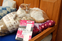 Sun, Book, Pillows: What More Could a Cat Want?
