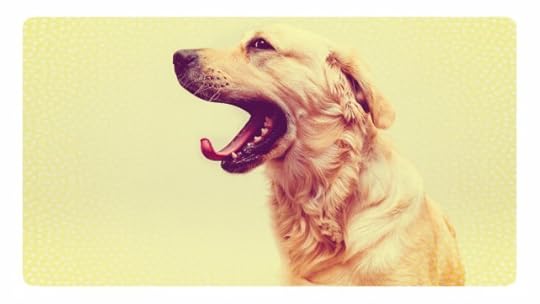 FFF_Dogs_Life_Asta_Idonea