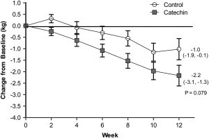 catechin weight loss