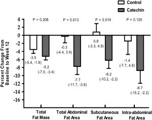 catechin intraabdominal weight loss