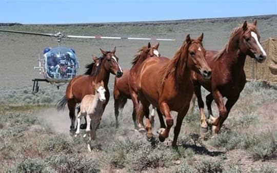  photo 46dda84a-c883-412b-80e5-bbcbe2fdf9ef_zpsdl9wzcop.jpg