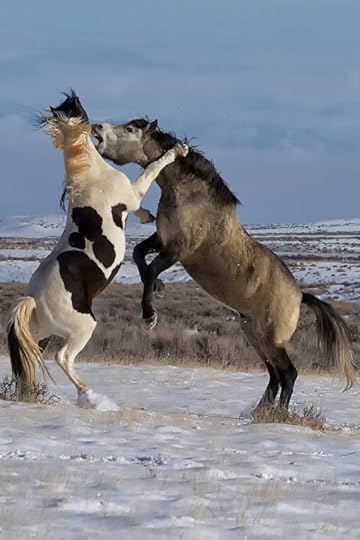  photo il_570xN.567513415_2wvt_zpscosug8lq.jpg