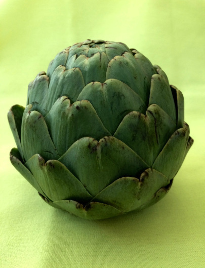Artichoke, Susan Katz Miller