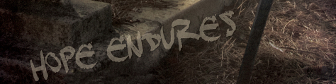 Hope Endures