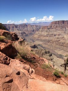 A slow-moving section of the Colorado River