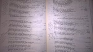 13082745_969345546516018_3654373672243803759_n