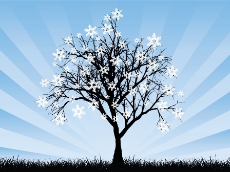 In Every Season