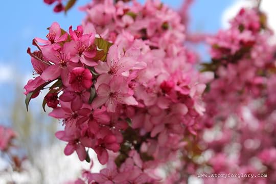 IMG_0797 watermarked