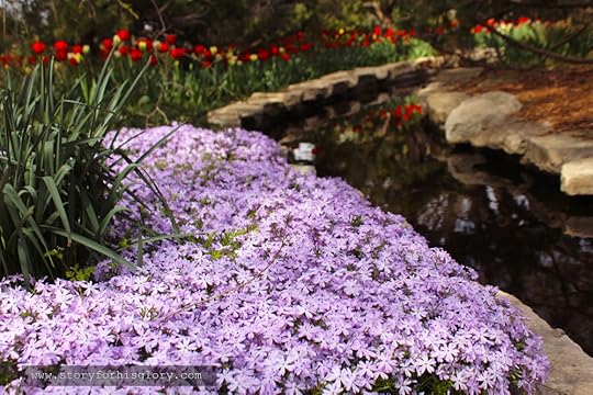 IMG_0860rv watermarked