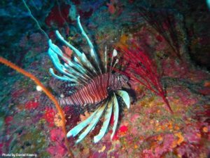 Scuba-Diving-in-Guardalavaca-Cuba