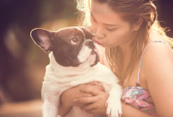 shutterstock_263117822