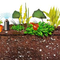 aquaponics_MB_Make_03.13.2015