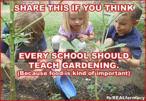 schools should teach gardening