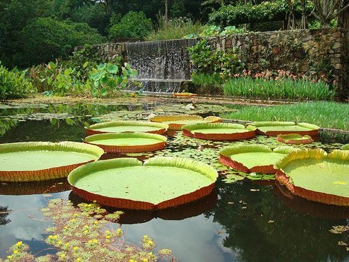Roberto Burle Marx at The Jewish Museum in New York