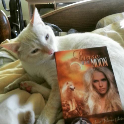 Kitty Cream with book.jpg1