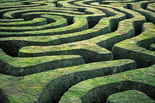 hedge maze