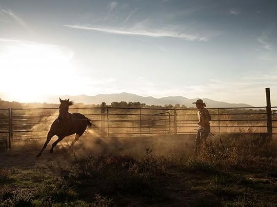 man working with horse: 
