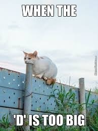  photo 4A391487-4E21-430A-ABED-6643B2D34E74_zpsg1ki81yg.jpg