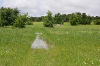 Near-meadow-aft-4-18-16