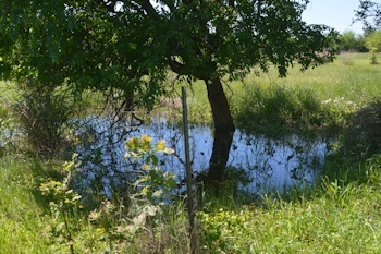 No-3-gabion-pool-4-22-16