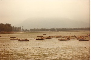 Jimei, nr. Gulangyu, gathering oysters and seaweed