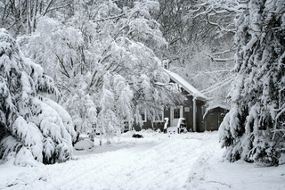  photo image_zpsfp4y7ncn.jpeg