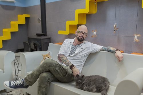 jackson-galaxy-cat-pawsitive