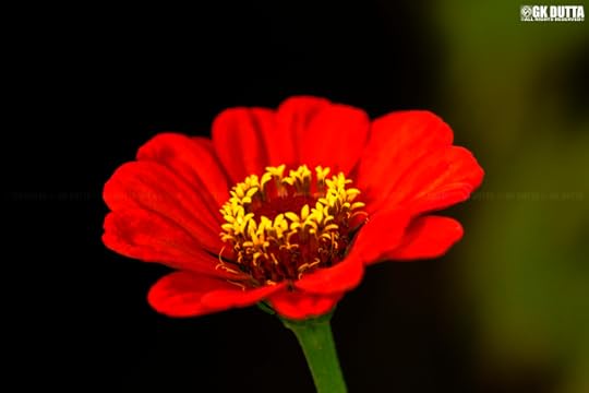 256_MG_7644