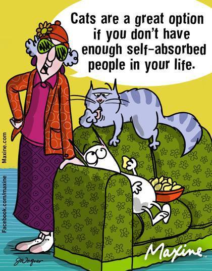 12990973_10153614354117945_8179934948411681129_n