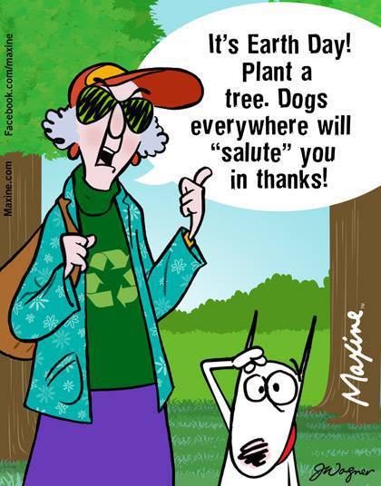 13000113_10153614356497945_4028624287330707348_n