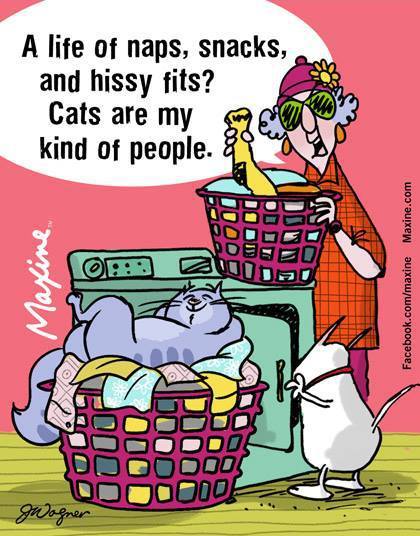 13006525_10153614357387945_4375947653116776223_n