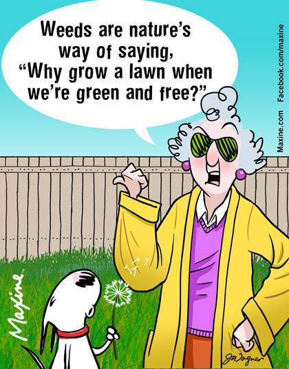 13010617_10153614354917945_2879712834143180663_n