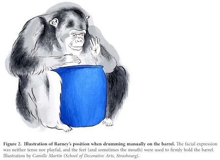 barney-drum-drawing