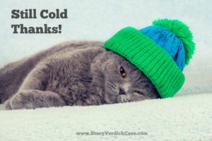 Blue British Shorthair kitten in knitted hat lying on a blanket